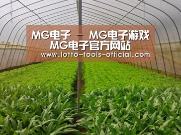 种植基地四