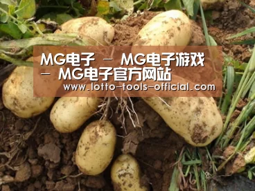 种植基地六