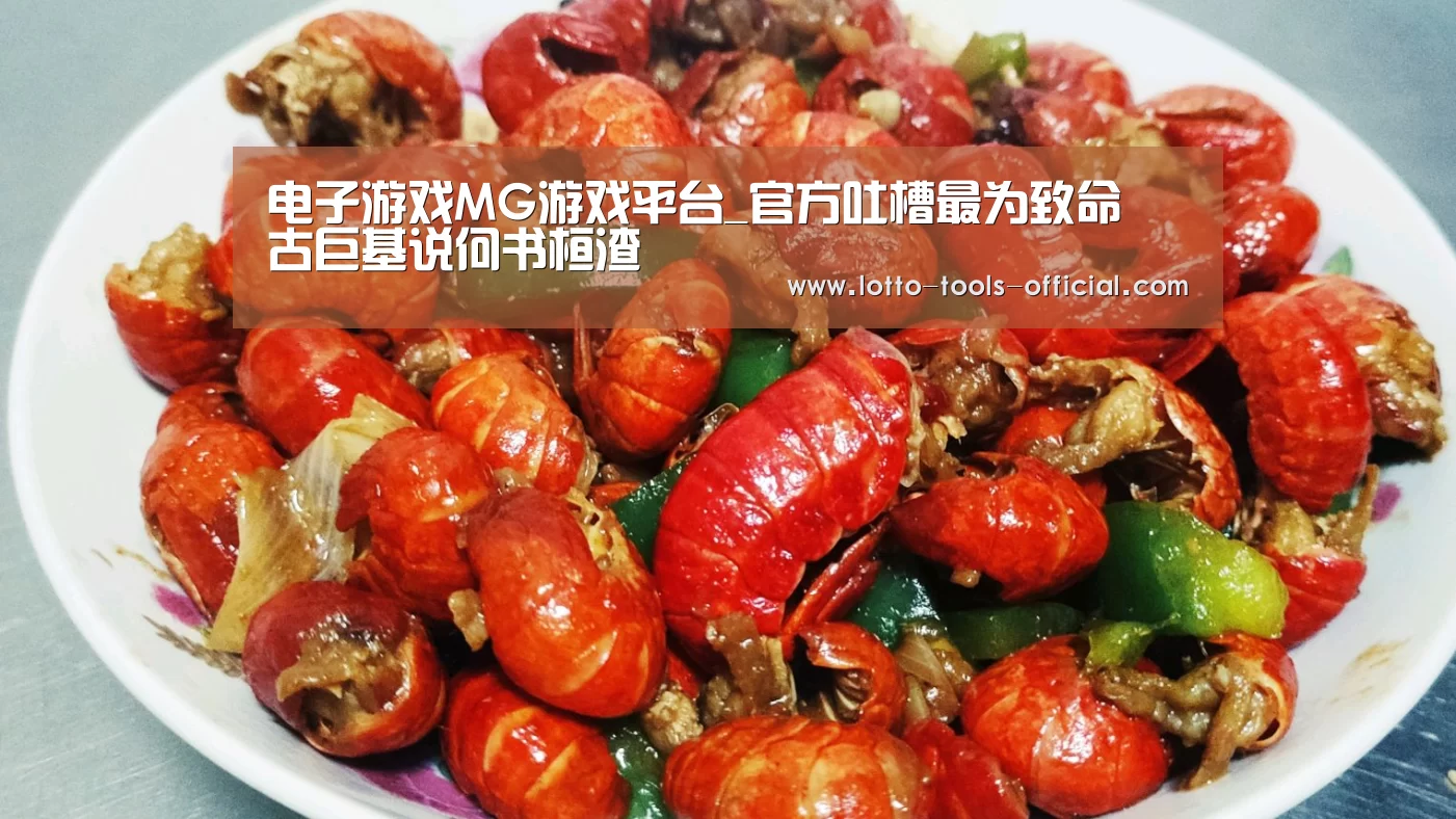 电子游戏MG