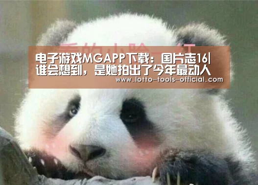 电子游戏MGAPP下载:国片志16| 谁会想到,是她拍出了今年最动人的一场戏(图2) 电子游戏MG游戏平台