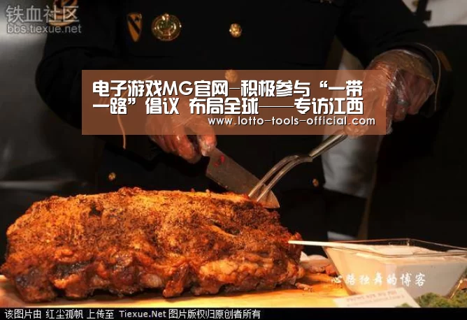 电子游戏MG官网-积极参与“一带一路”倡议 布局全球——专访江西铜业集团有限公司党委书记、董事长龙子平(图3) 电子游戏MG官网