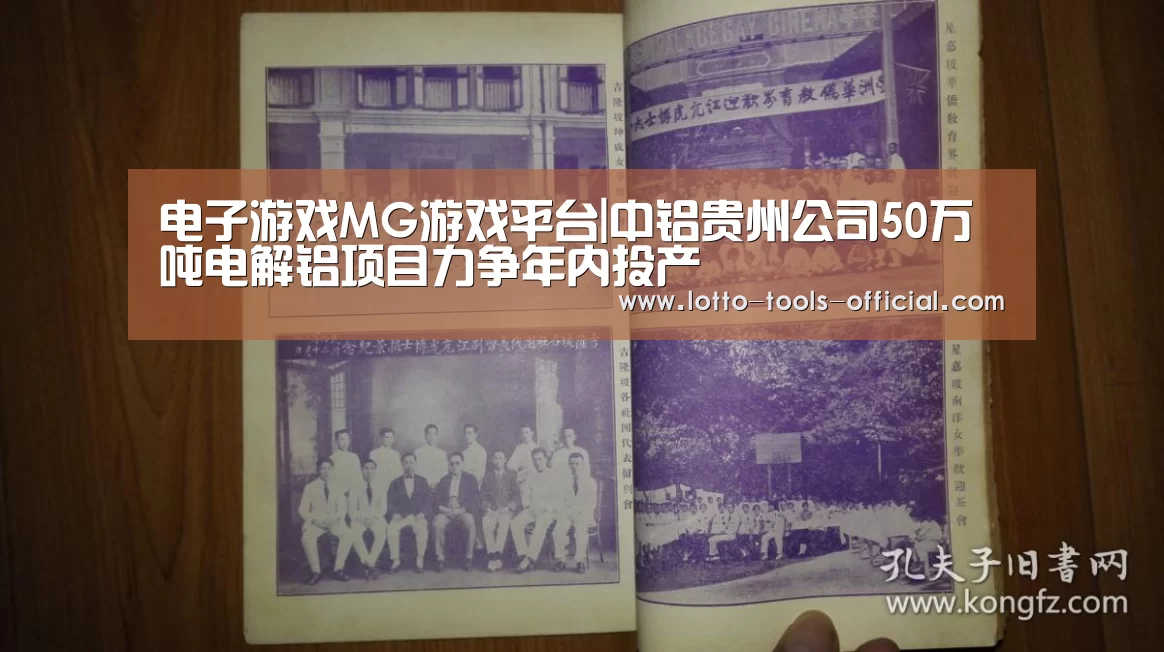 电子游戏MG游戏平台|中铝贵州公司50万吨电解铝项目力争年内投产(图4) 电子游戏MGAPP下载