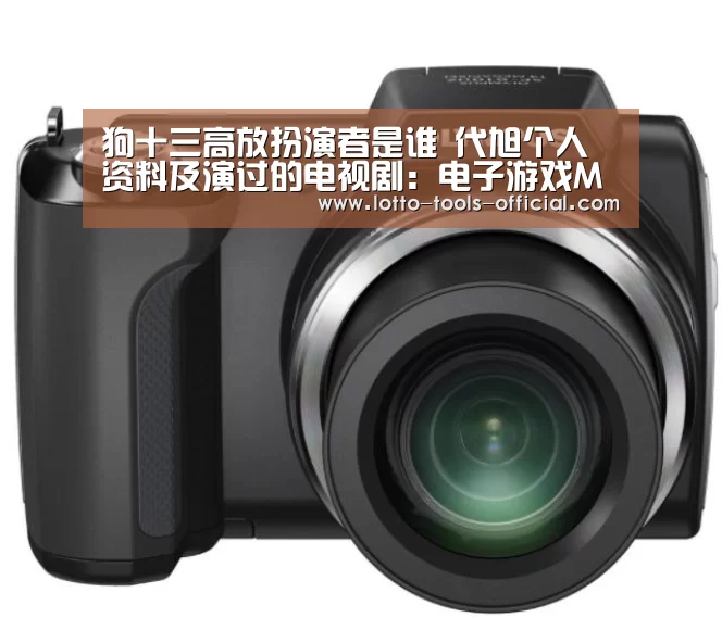 狗十三高放扮演者是谁 代旭个人资料及演过的电视剧:电子游戏MG(图3) 电子游戏MG