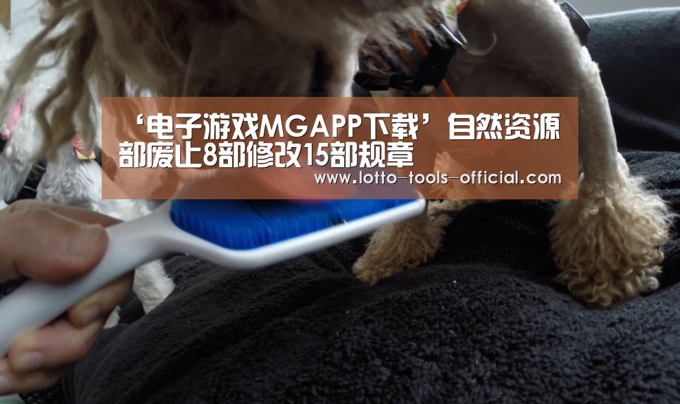 ‘电子游戏MGAPP下载’自然资源部废止8部修改15部规章(图2) 电子游戏MGAPP下载